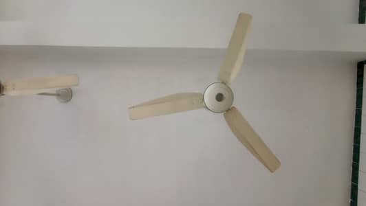 30 Fan