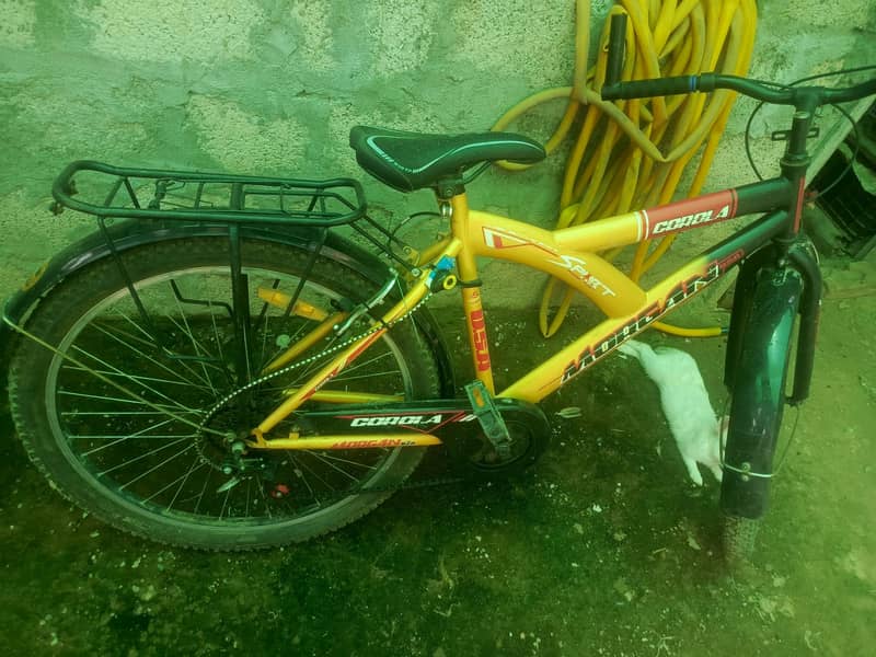 Cycle large size  3