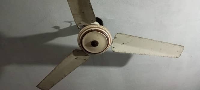 celling fan