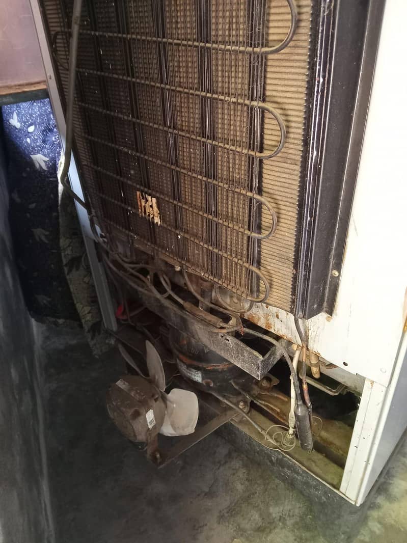 large fridge 1