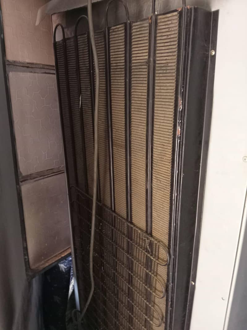 large fridge 5