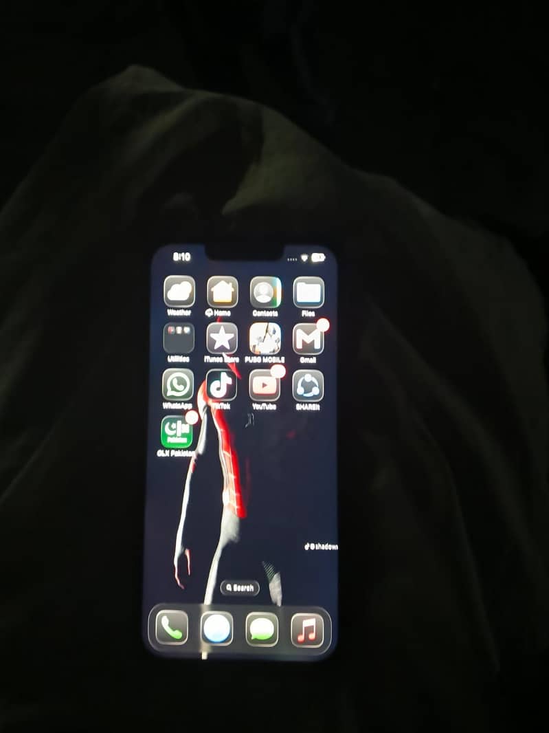 Apple iPhone 13 0