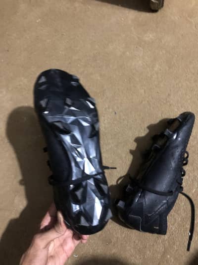 adidas predator 100 percent orignal