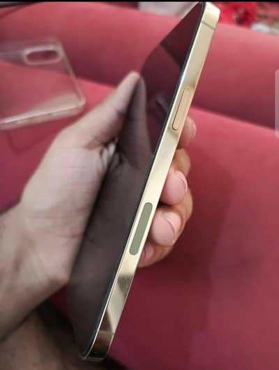 Apple iPhone 12 Pro Max