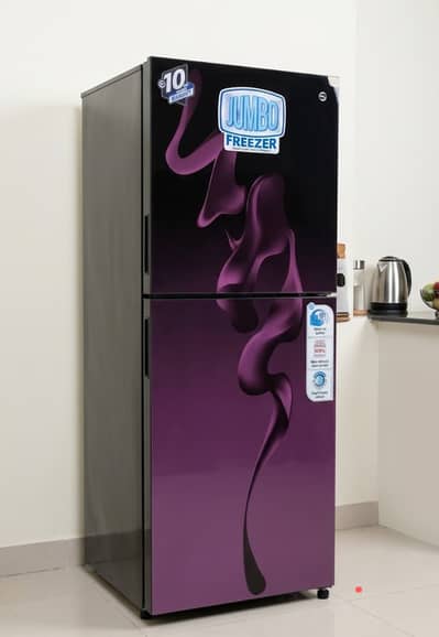 Jumbo PEL Freezer Refrigerator | Double Door | Glass Door | Beautiful