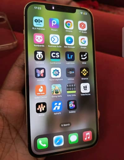 Apple iPhone 12 Pro Max