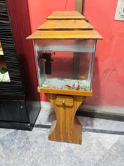 aquarium