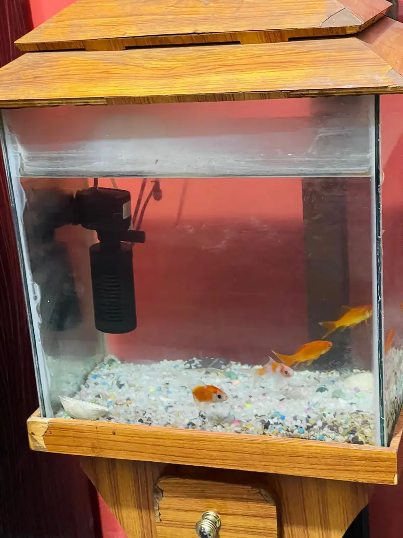 aquarium — photo 2