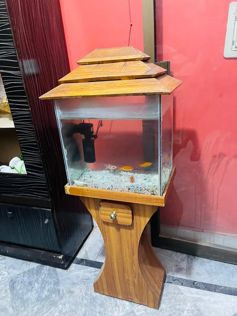 aquarium — photo 3