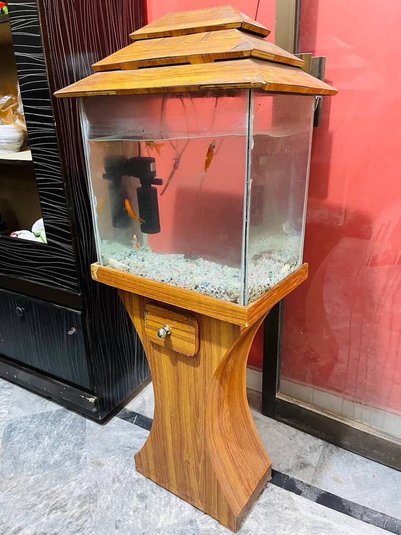 aquarium 3