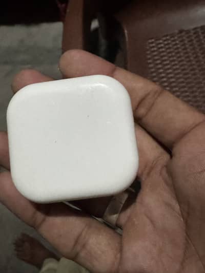 Apple Original 20w