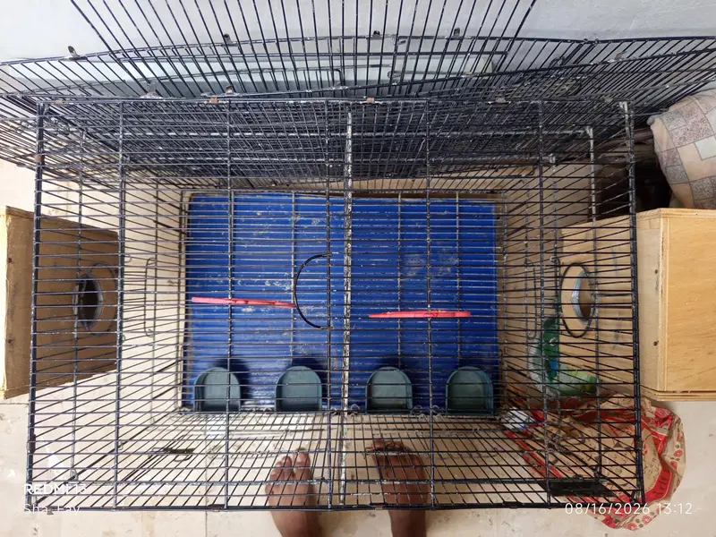 Cages — photo 2