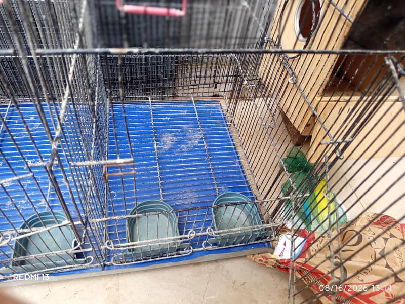 Cages 2
