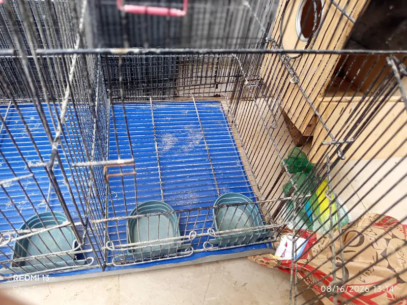 Cages — photo 3
