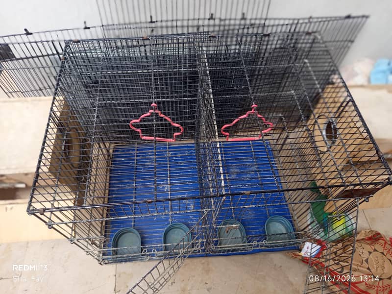 Cages 3