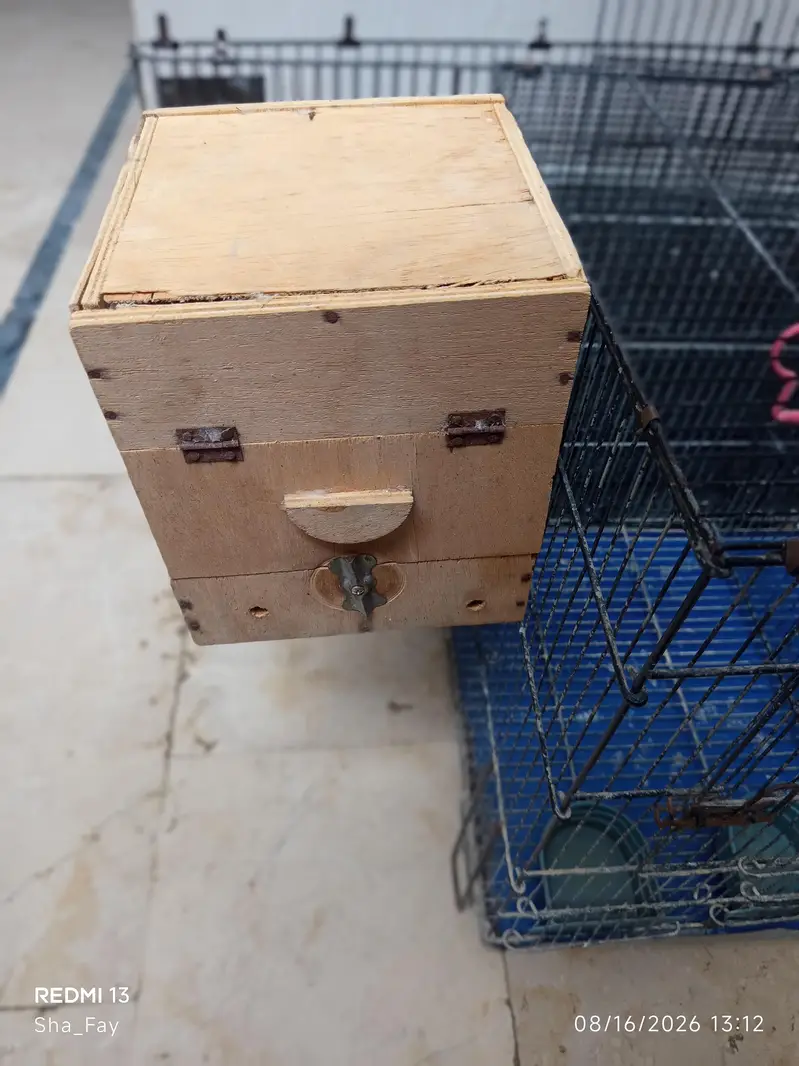 Cages — photo 5
