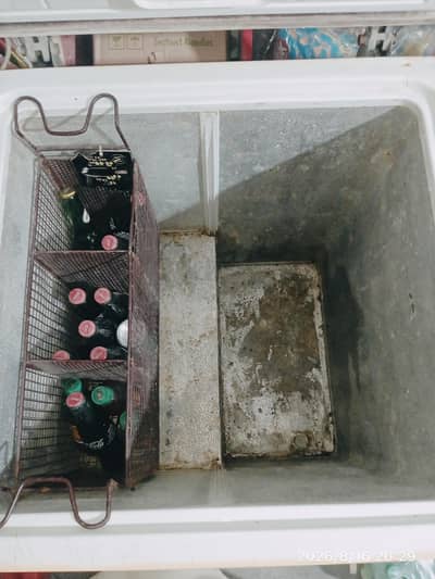 Waves Triplet 15 cu. ft Deep Freezer for Sale