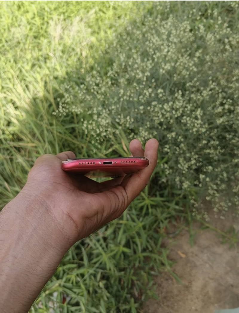 Apple iPhone 11 1