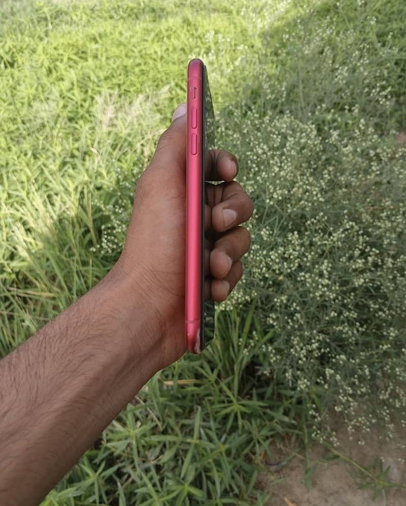 Apple iPhone 11 2