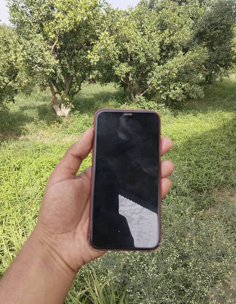 Apple iPhone 11 3