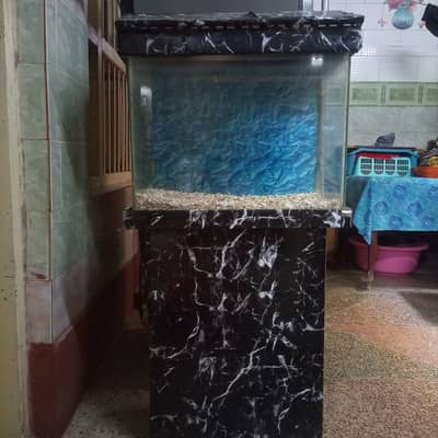 Aquarium fish tank with frame