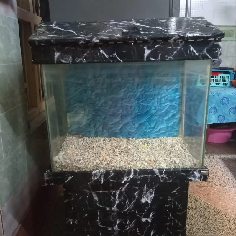 Aquarium fish tank with frame — photo 2