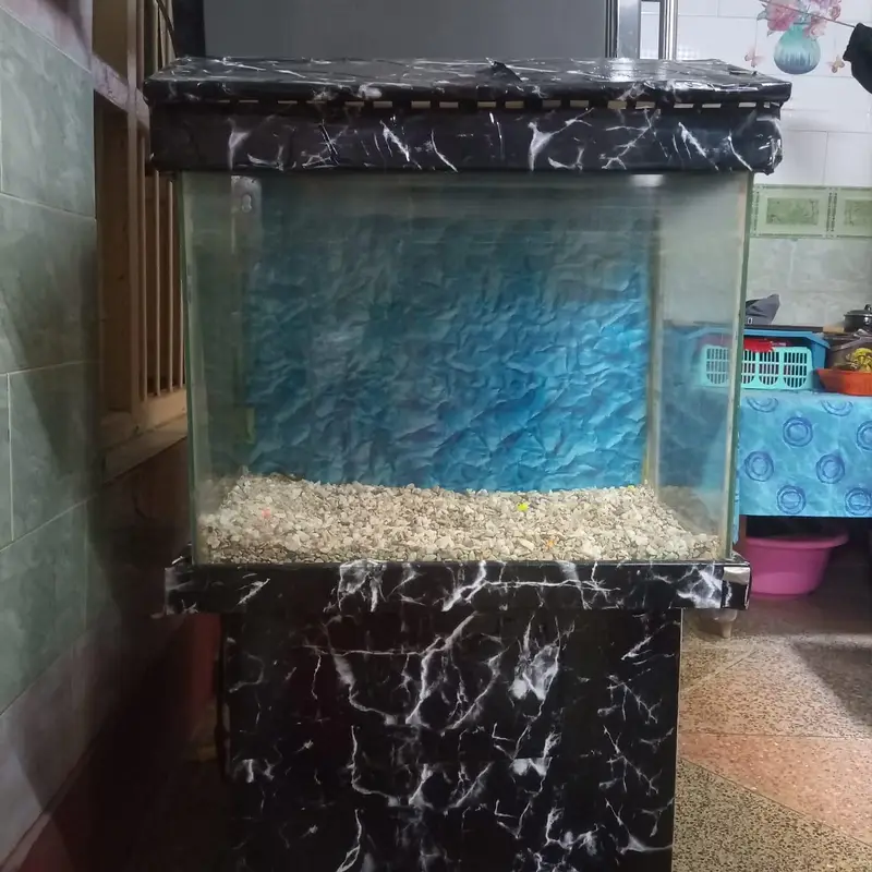 Aquarium fish tank with frame — photo 4