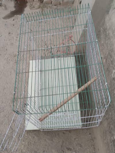 Birds cage