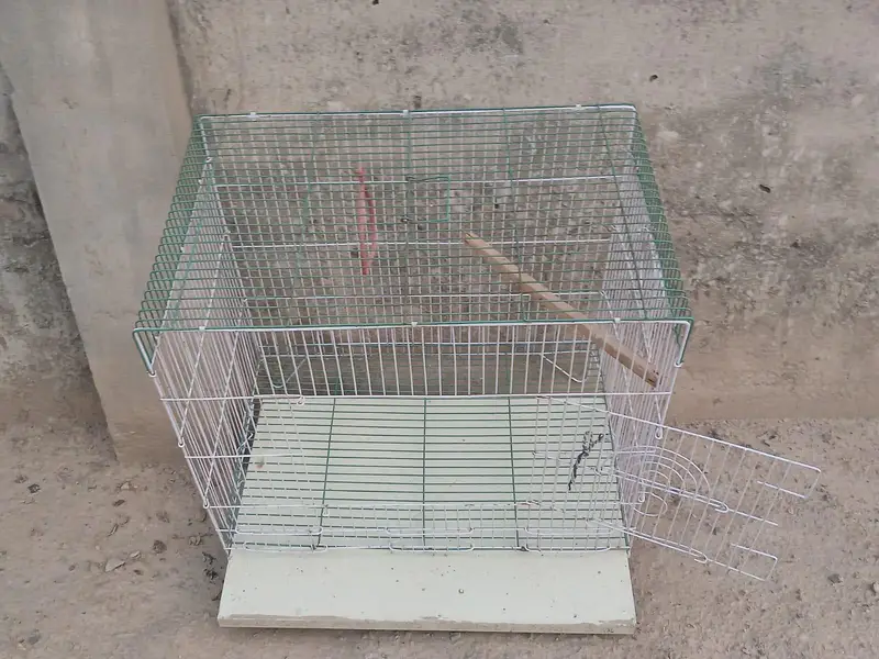 Birds cage — photo 2