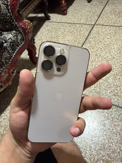 Iphone 13 pro dual official pta