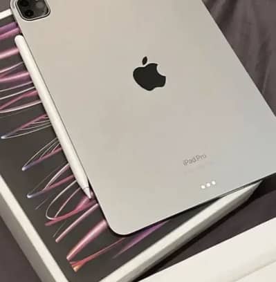 Apple iPad Pro M2 Space Gray Colour