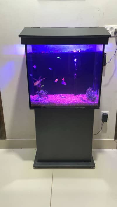 Fish Aquarium | Fish Tank | Aquarium | Aquarium for Sale
