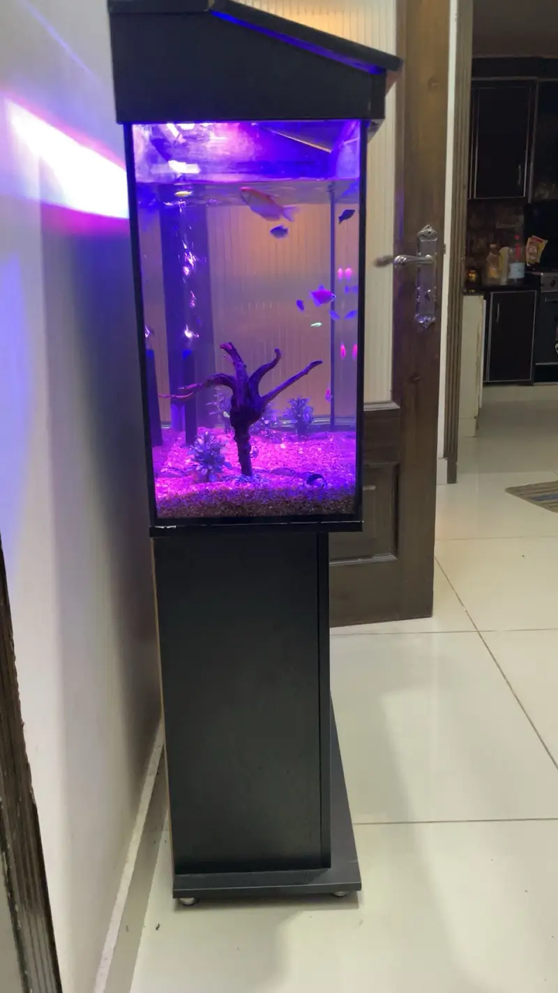 Fish Aquarium | Fish Tank | Aquarium | Aquarium for Sale — photo 2