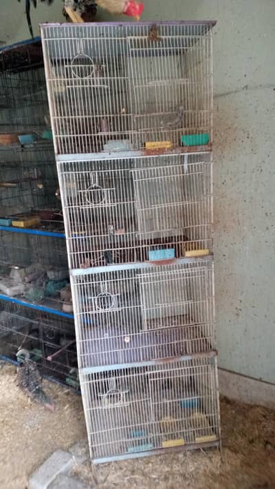 Cagess