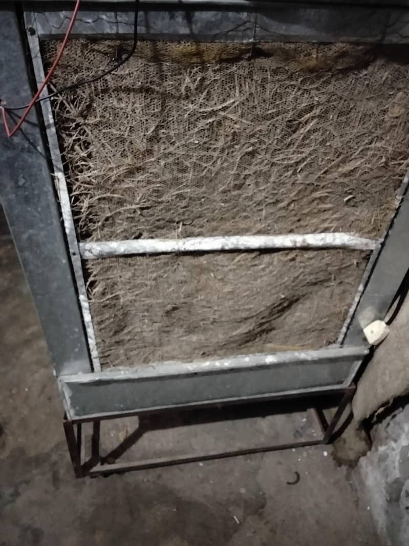 03344179065 2
