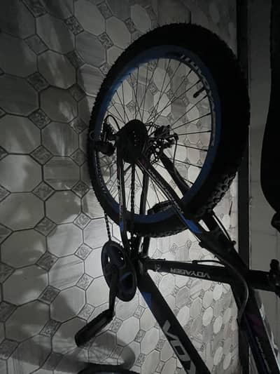 Voyager cycle