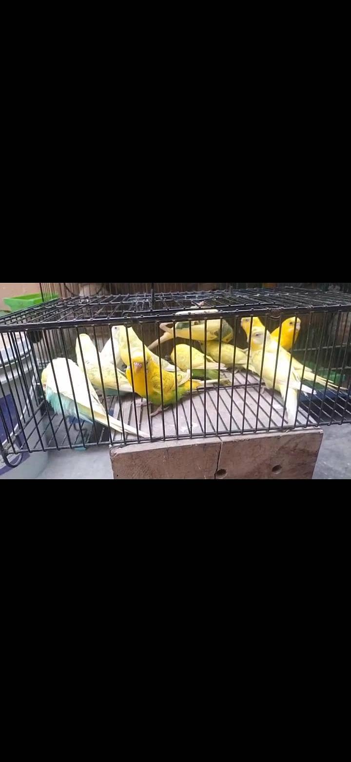 set up for sell 3