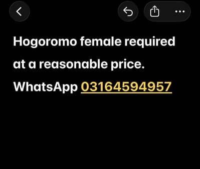 Hogoromo female required at a reasonable price