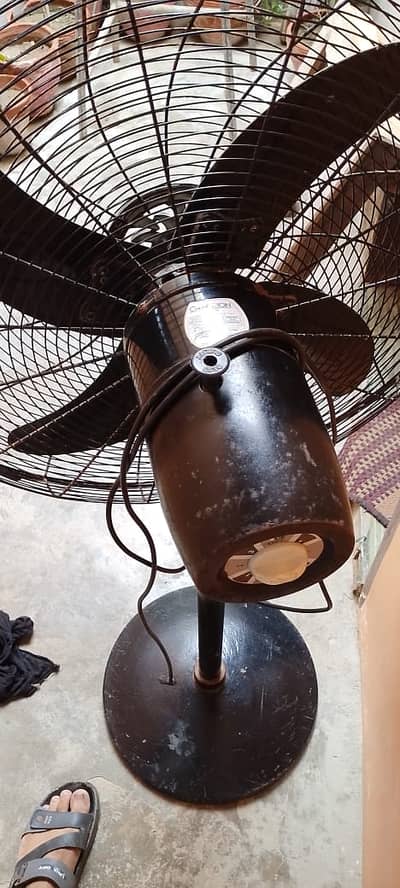 Pedestal fan