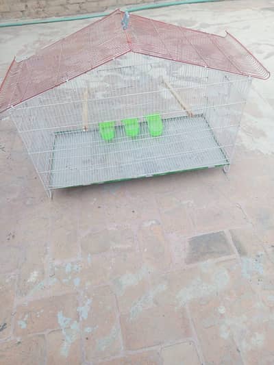 cage Pinjra for bird
