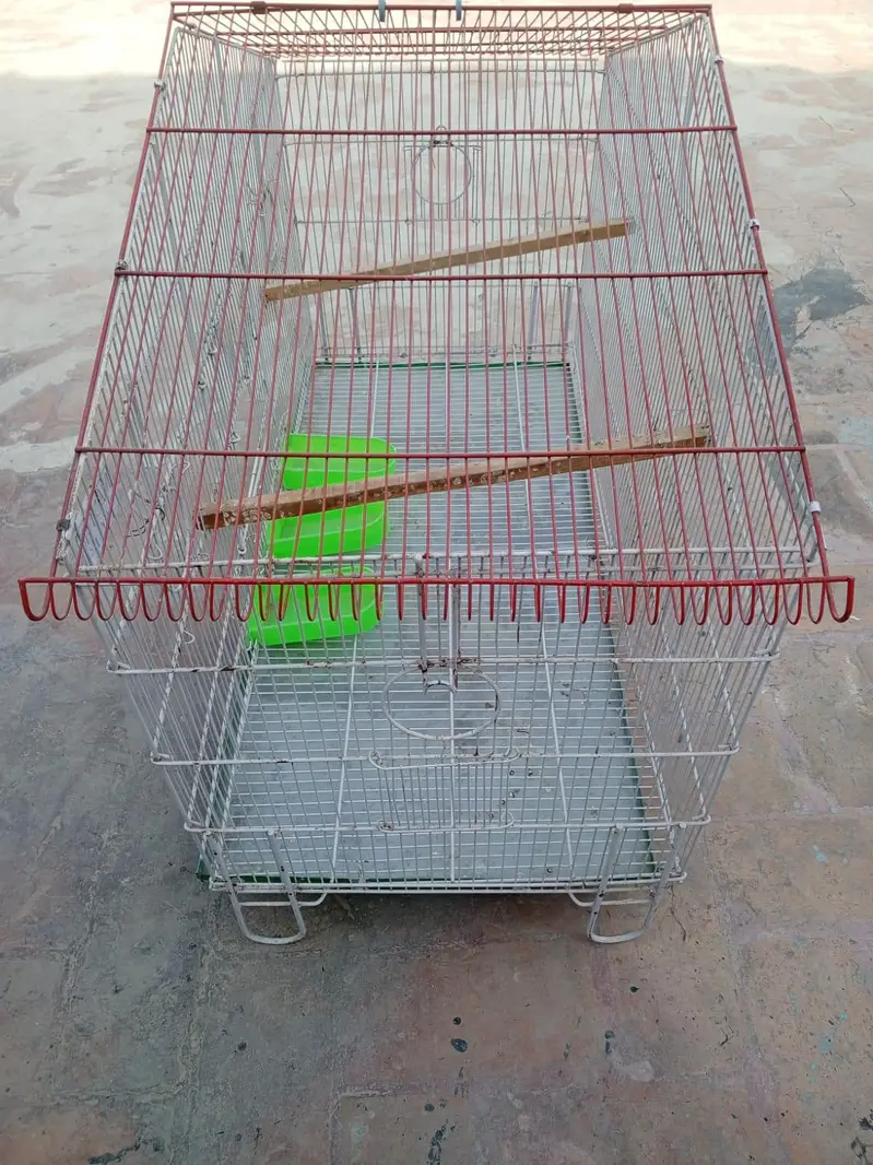 cage Pinjra for bird — photo 2