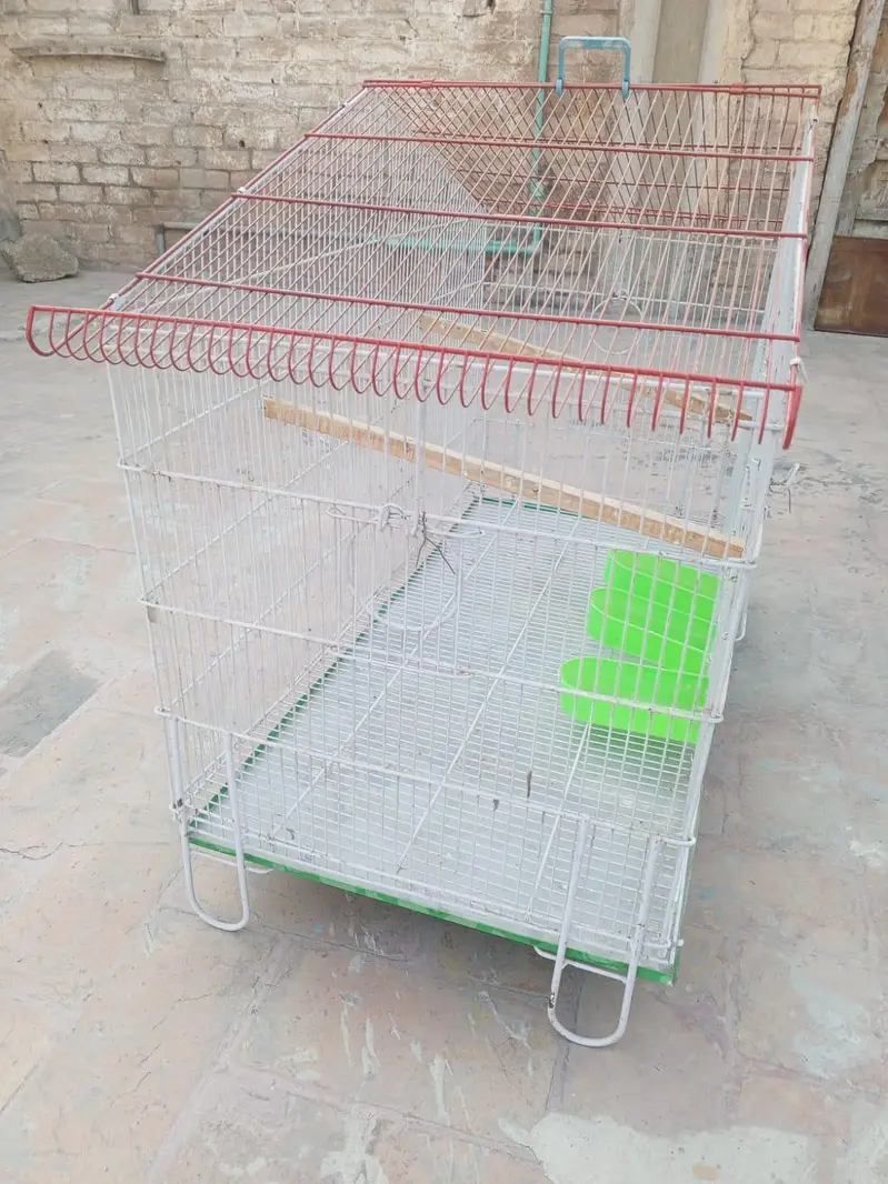 cage Pinjra for bird — photo 3