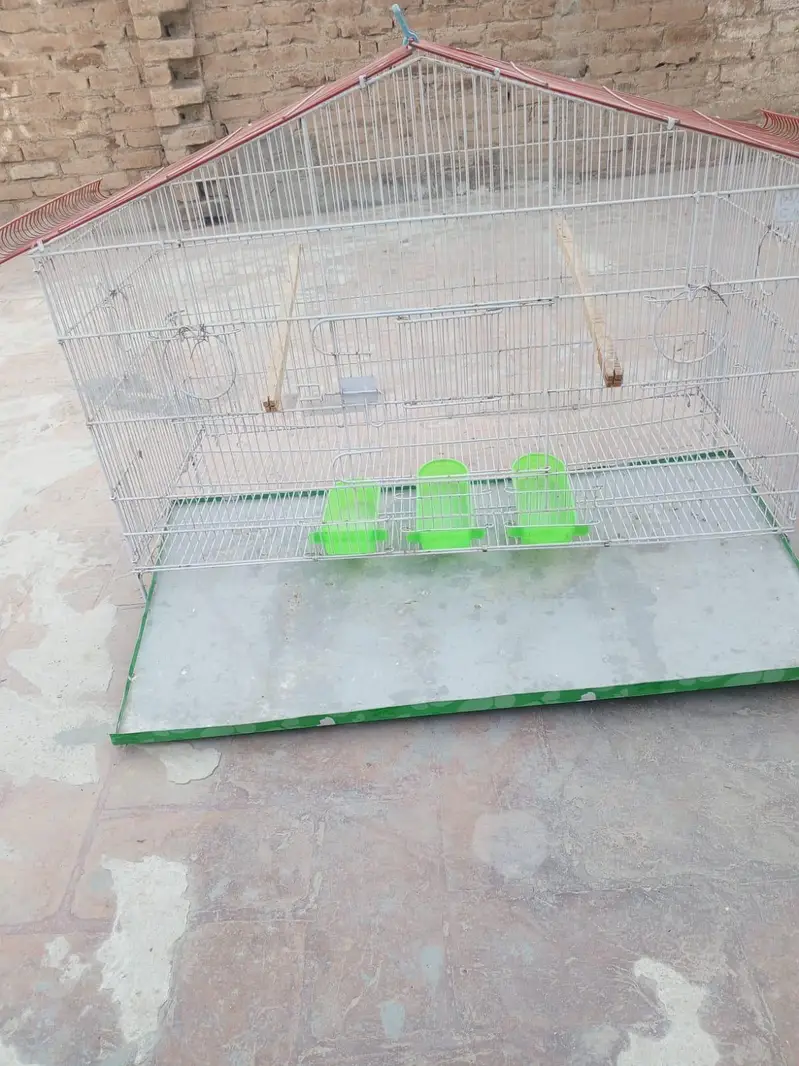 cage Pinjra for bird — photo 4
