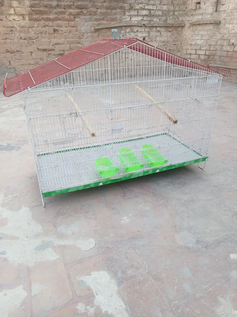 cage Pinjra for bird — photo 5
