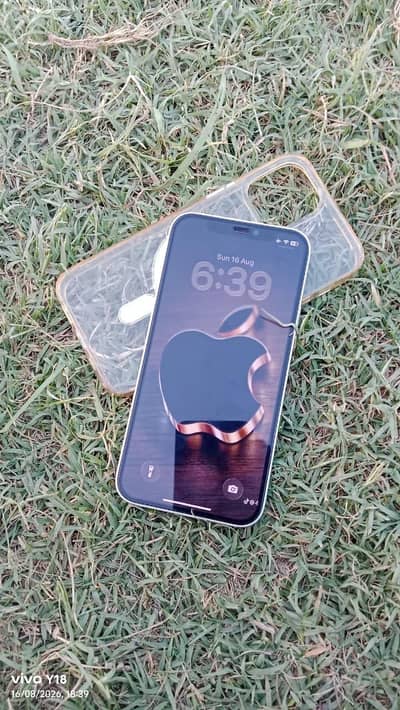 Apple iPhone 12