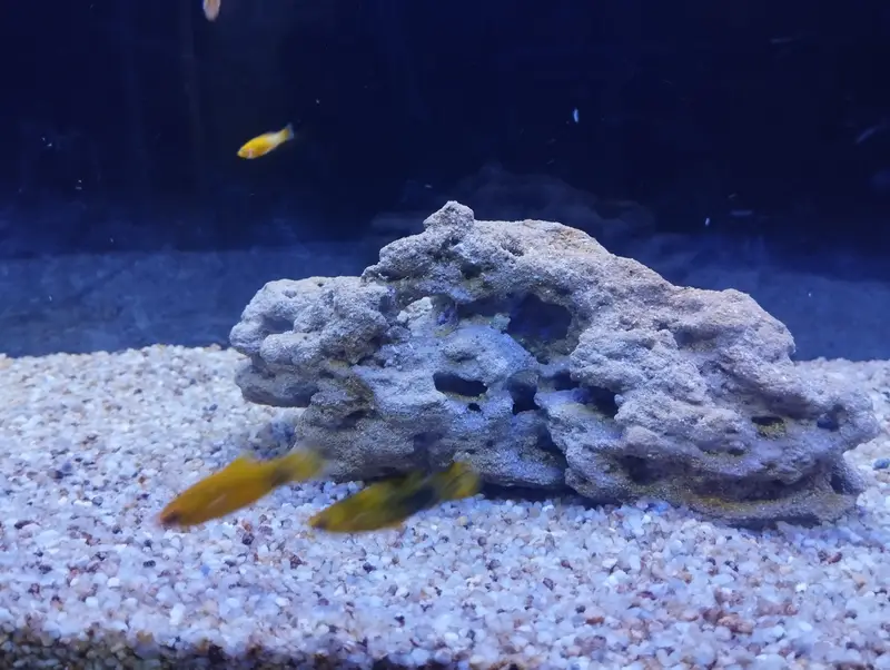 fish aquarium with all accessories — photo 2