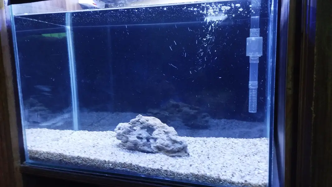 fish aquarium with all accessories — photo 3