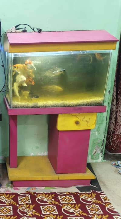 Aquarium with fish and all accessories