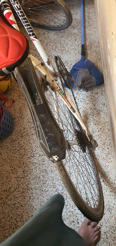 bicycle sale
