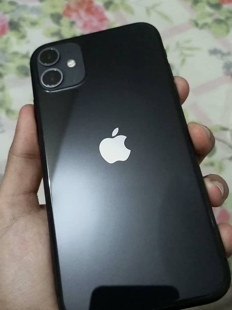 Apple iPhone 11 0